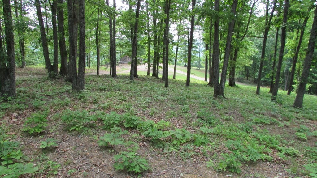 Tbf Parrott Mountain Road Parrott, VA 24132 - Photo 16 of 22 Gallery Image 16