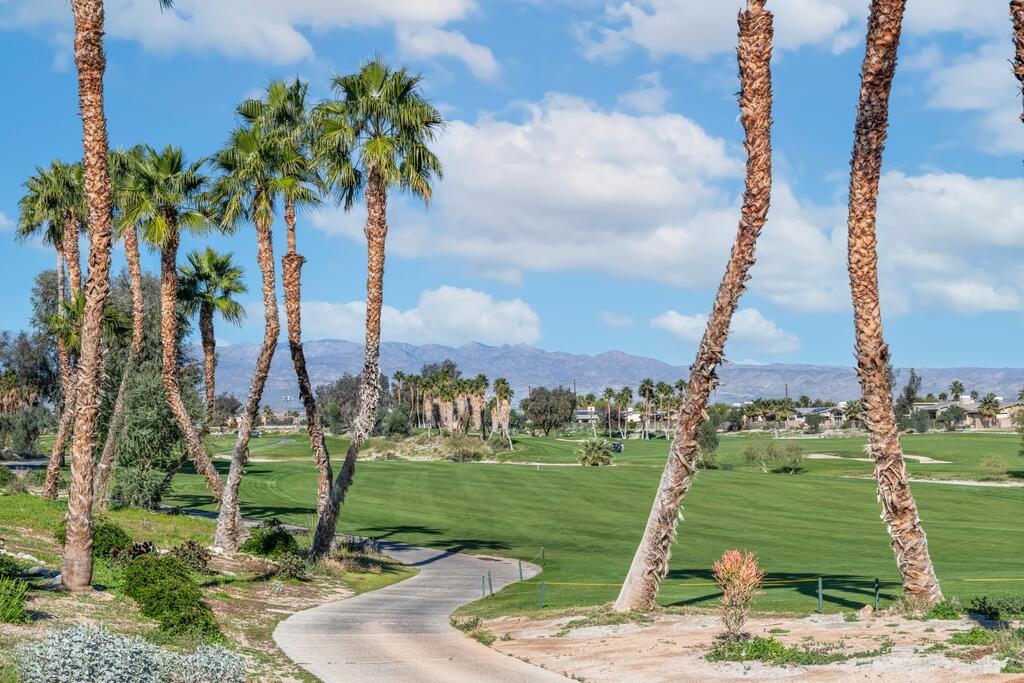 1200 Celadon Street Palm Springs, CA 92262 - Photo 43 of 47 a view of a garden with a fountain