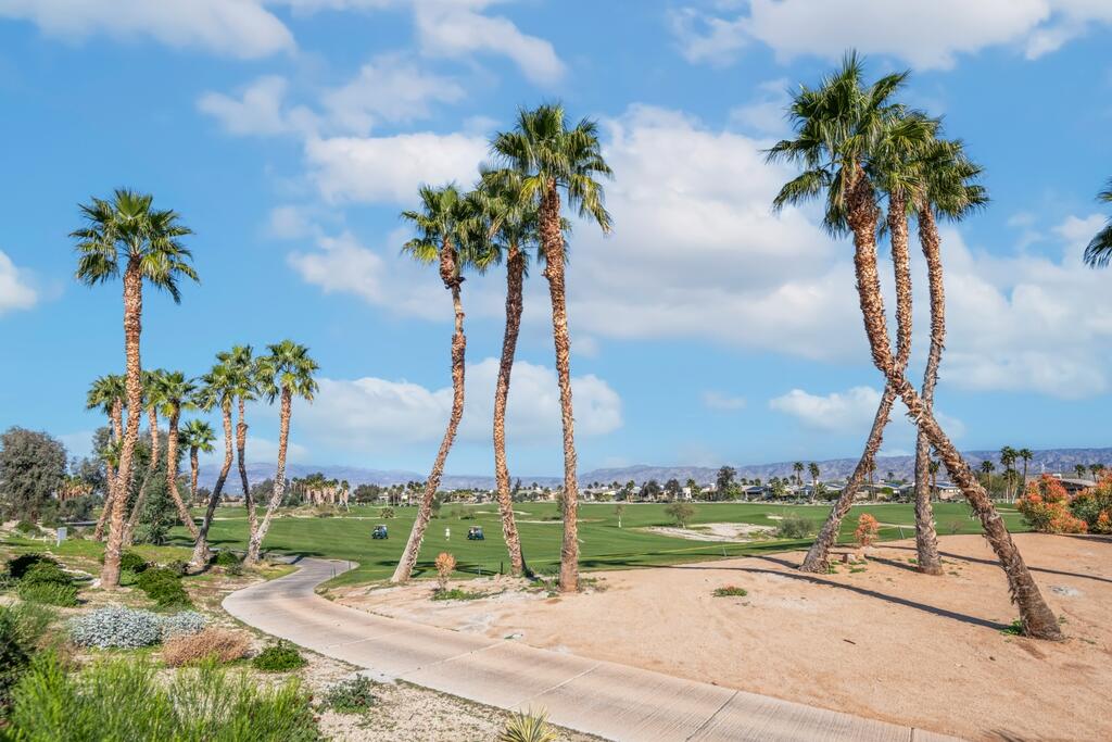 1200 Celadon Street Palm Springs, CA 92262 - Photo 44 of 47 a ocean view with palm trees