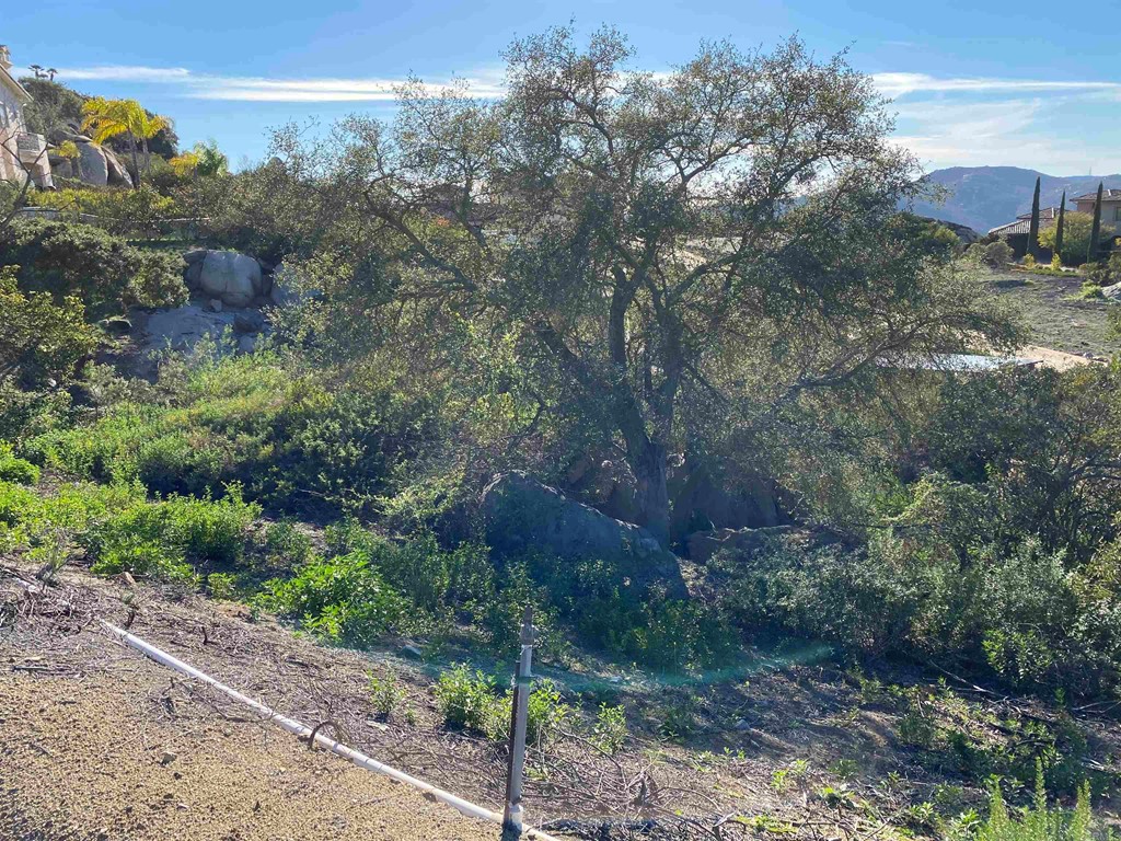 9782 Crystal Ridge Drive Escondido, CA 92026 - Photo 13 of 31 a view of a city with lush green forest