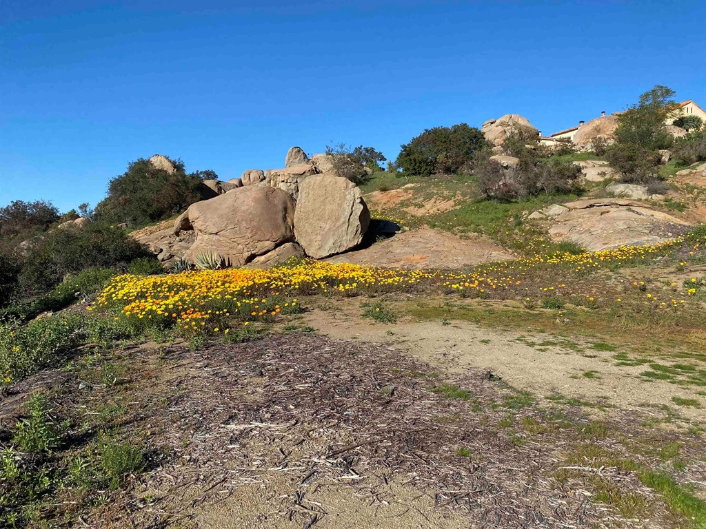 9782 Crystal Ridge Drive Escondido, CA 92026 - Photo 15 of 31 a view of a dry yard with wooden fence
