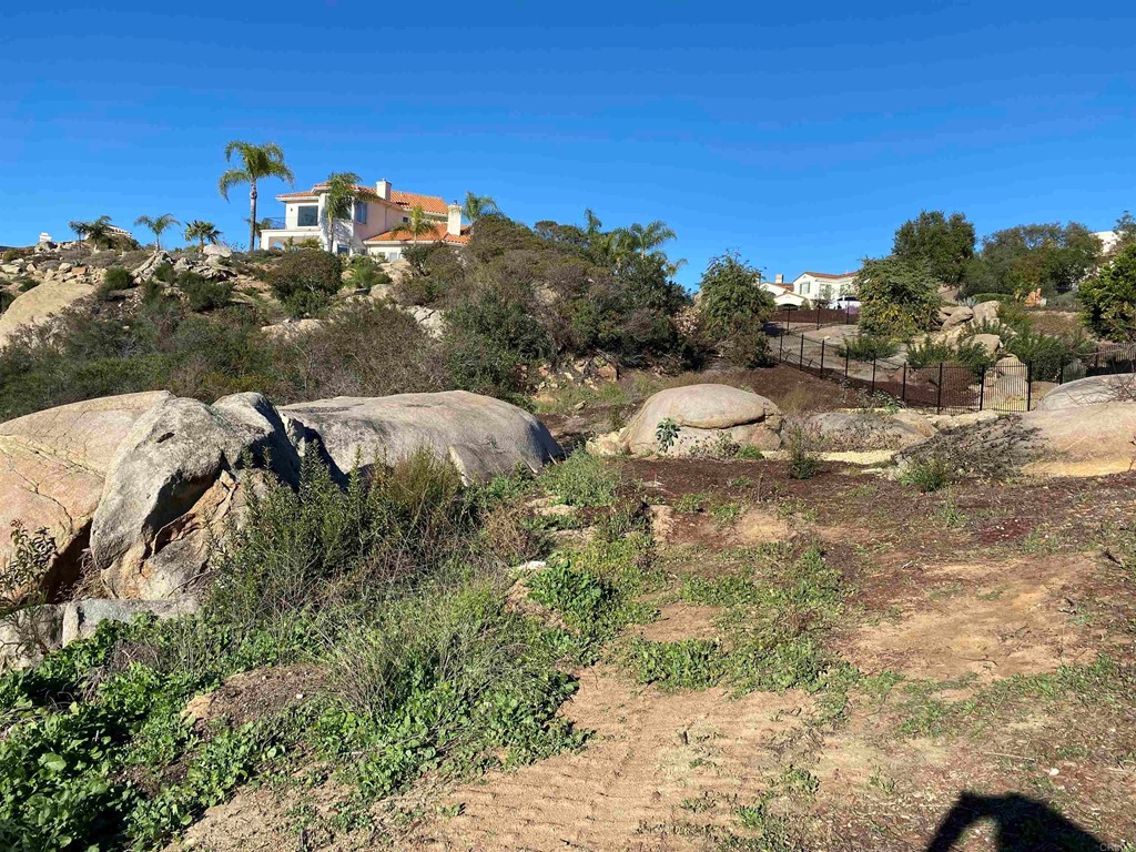 9782 Crystal Ridge Drive Escondido, CA 92026 - Photo 17 of 31 a view of a yard