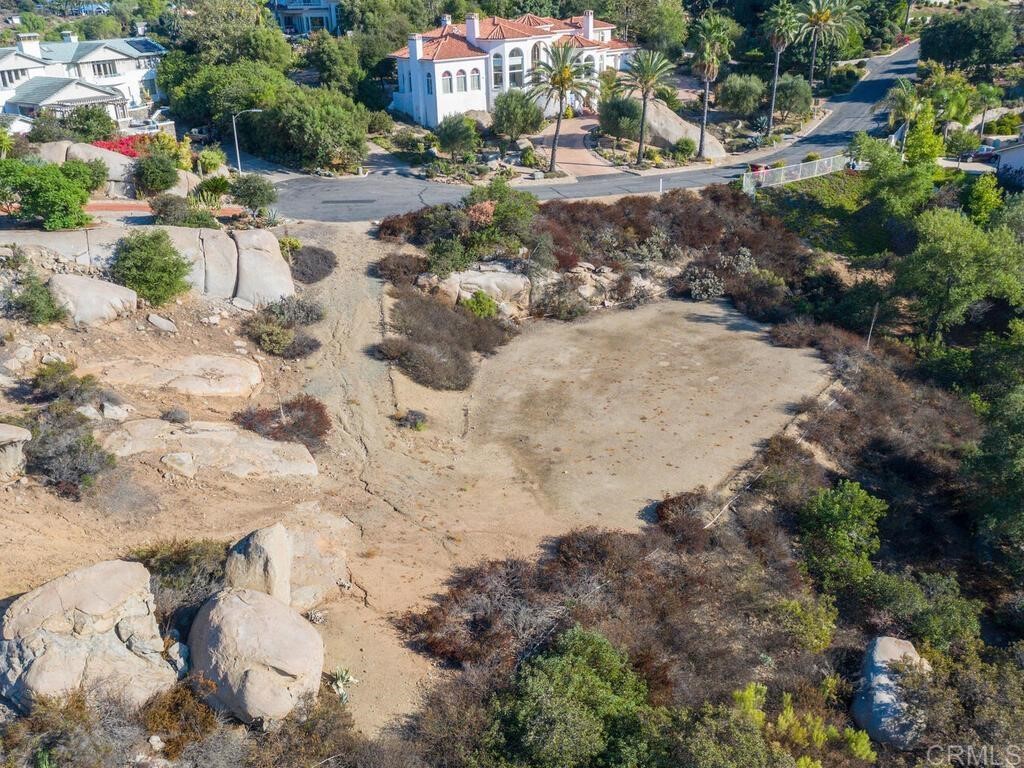 9782 Crystal Ridge Drive Escondido, CA 92026 - Photo 19 of 31 a view of a dry yard with trees