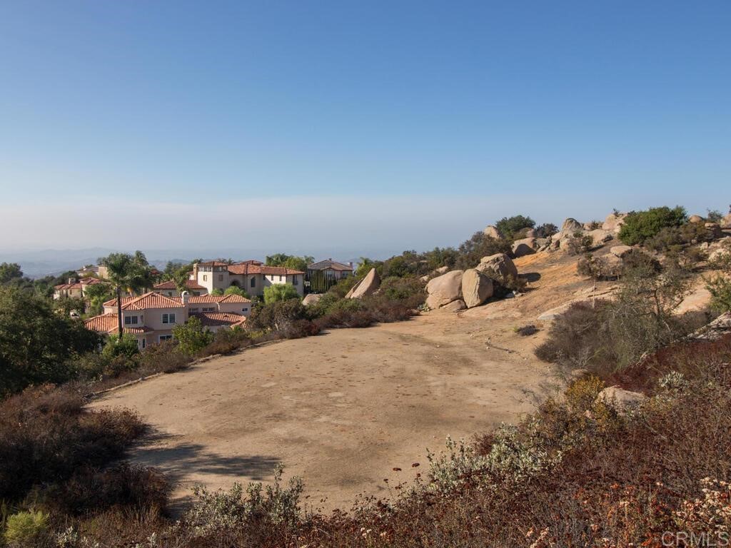 9782 Crystal Ridge Drive Escondido, CA 92026 - Photo 23 of 31 a view of a dry yard with trees