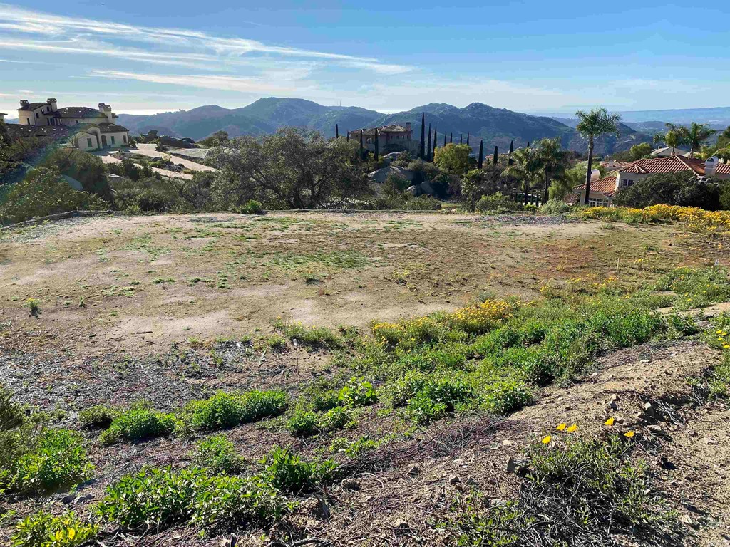 9782 Crystal Ridge Drive Escondido, CA 92026 - Photo 5 of 31 a view of a lake with a mountain