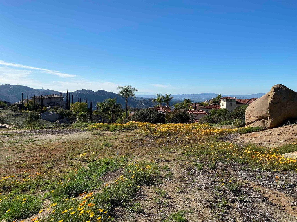 9782 Crystal Ridge Drive Escondido, CA 92026 - Photo 6 of 31 a view of a yard