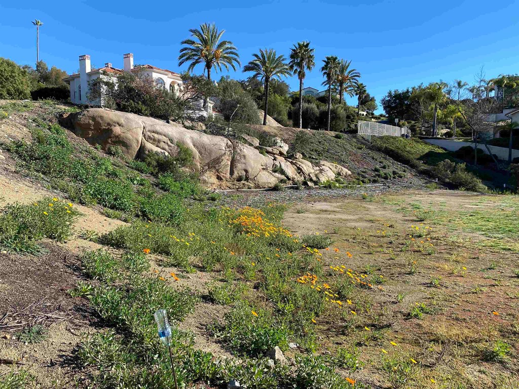 9782 Crystal Ridge Drive Escondido, CA 92026 - Photo 7 of 31 a view of a yard with an outdoor space