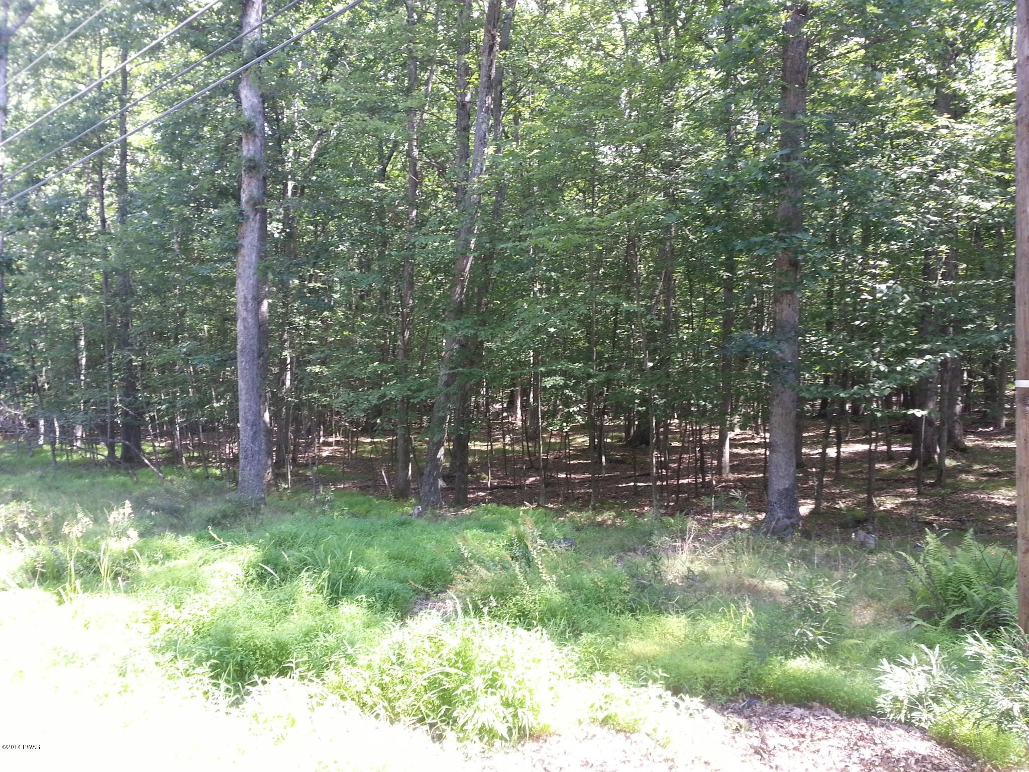 220 Oak Hill Road Hawley, PA 18428 - Photo 3 of 7