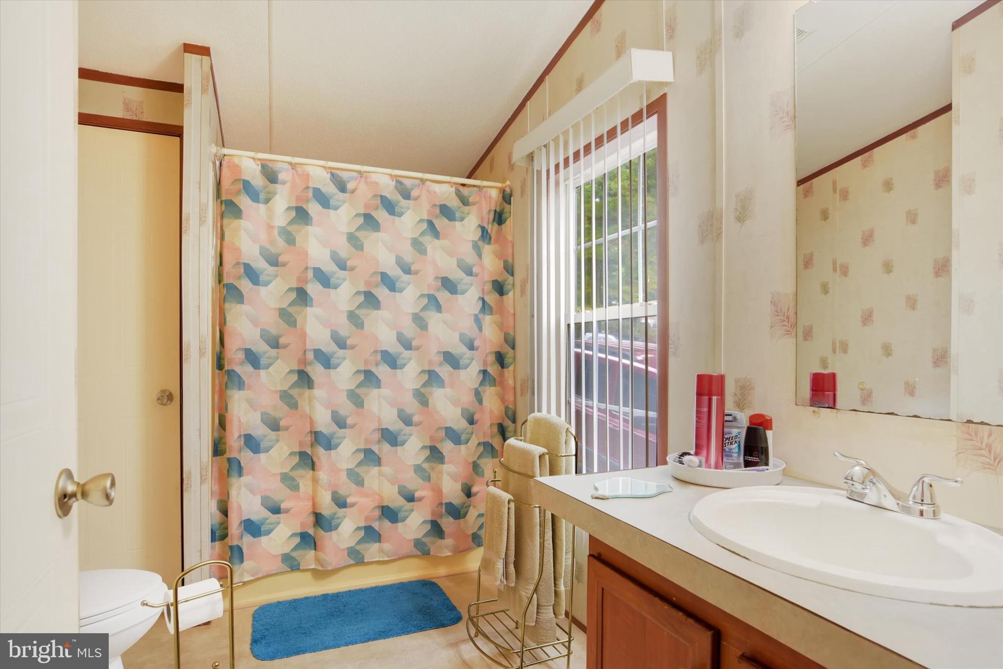 1 Rovak Drive Middletown, PA 17057 - Photo 12 of 18 a bathroom with a sink and a mirror