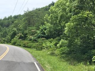 022.02 Wilhite Road Sevierville, TN 37876 - Photo 3 of 5 IMG_0842