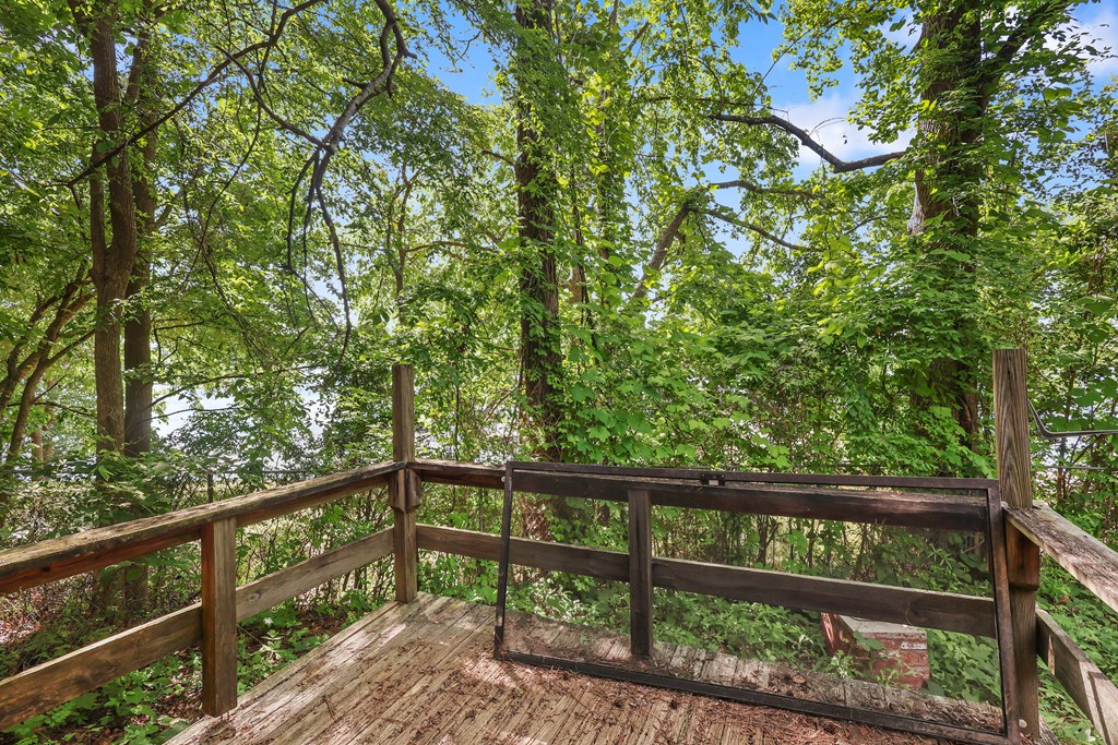 1133 Jets Landing Road Abbeville, SC 29620 - Photo 13 of 51 PRIMARY DECK