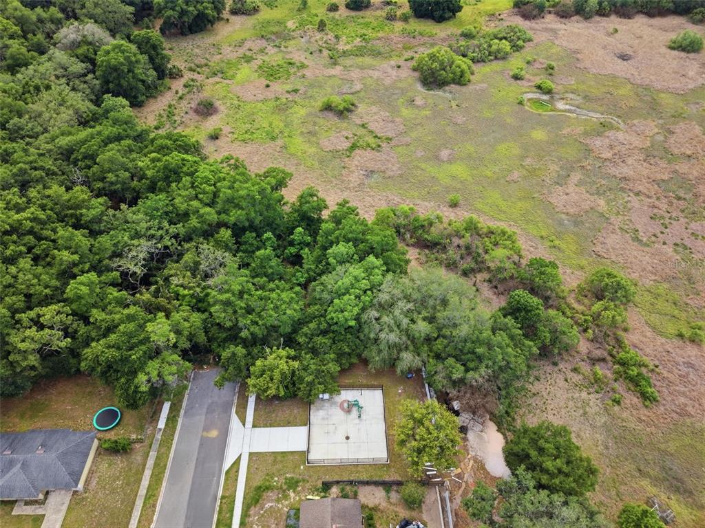 Sardina Boulevard Orlando, FL 32818 - Photo 10 of 17