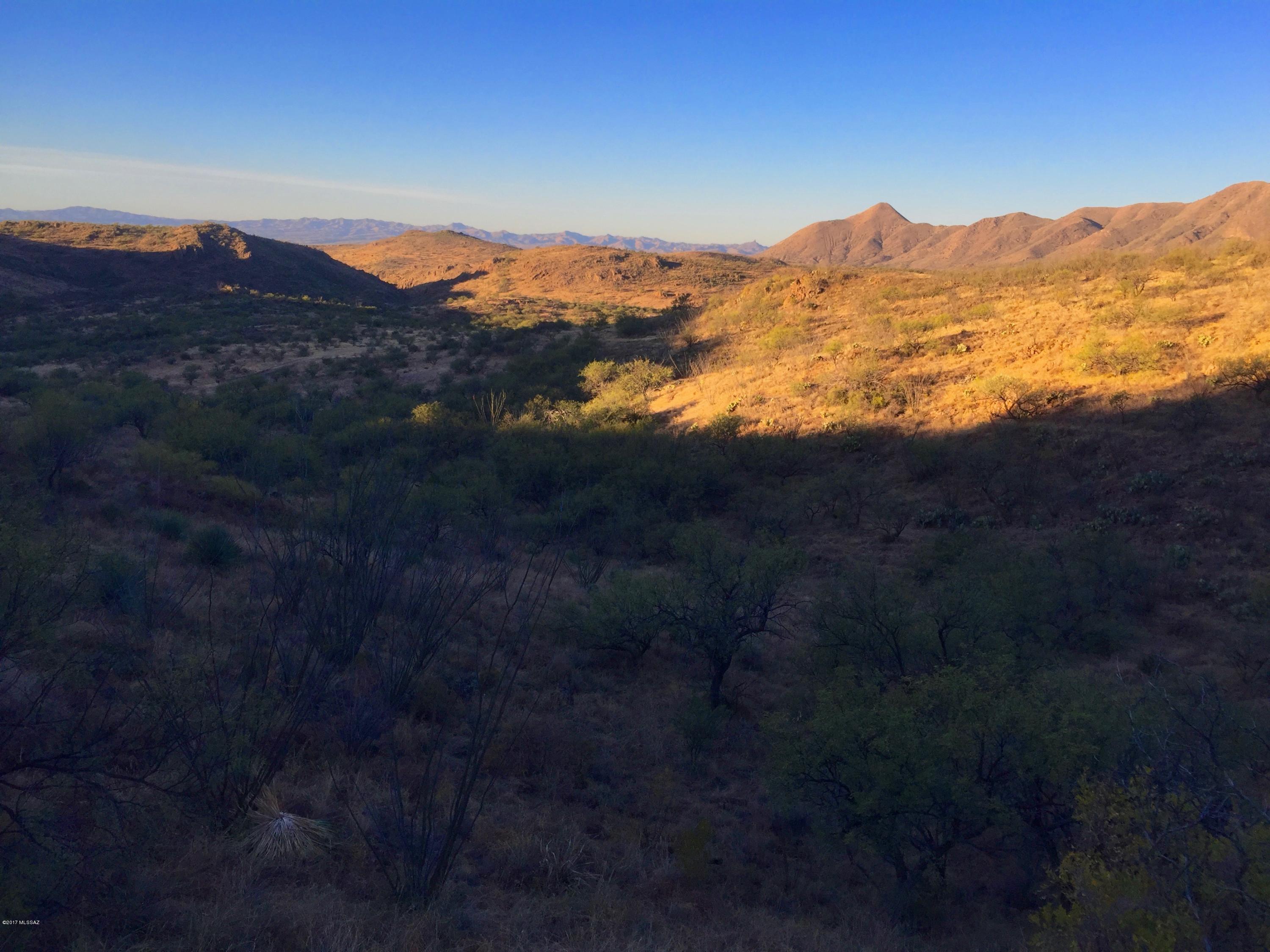 96 Salida Springs Way, Unit 123 Rio Rico, AZ 85648 - Photo 4 of 12