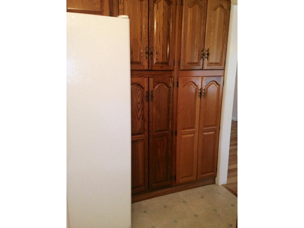 1010 Mountainview Road Erwin, TN 37650 - Photo 14 of 26 pantry in kitchen