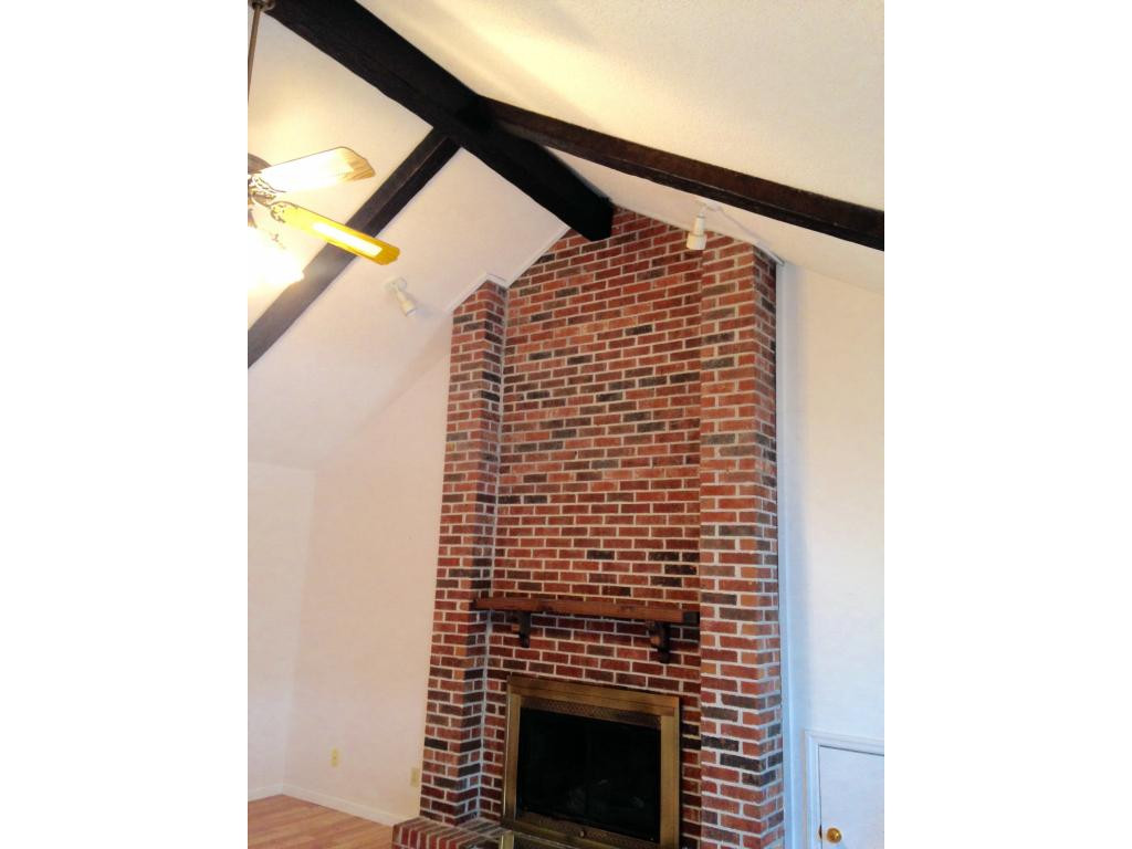 1010 Mountainview Road Erwin, TN 37650 - Photo 20 of 26 fireplacecathedral ceiling