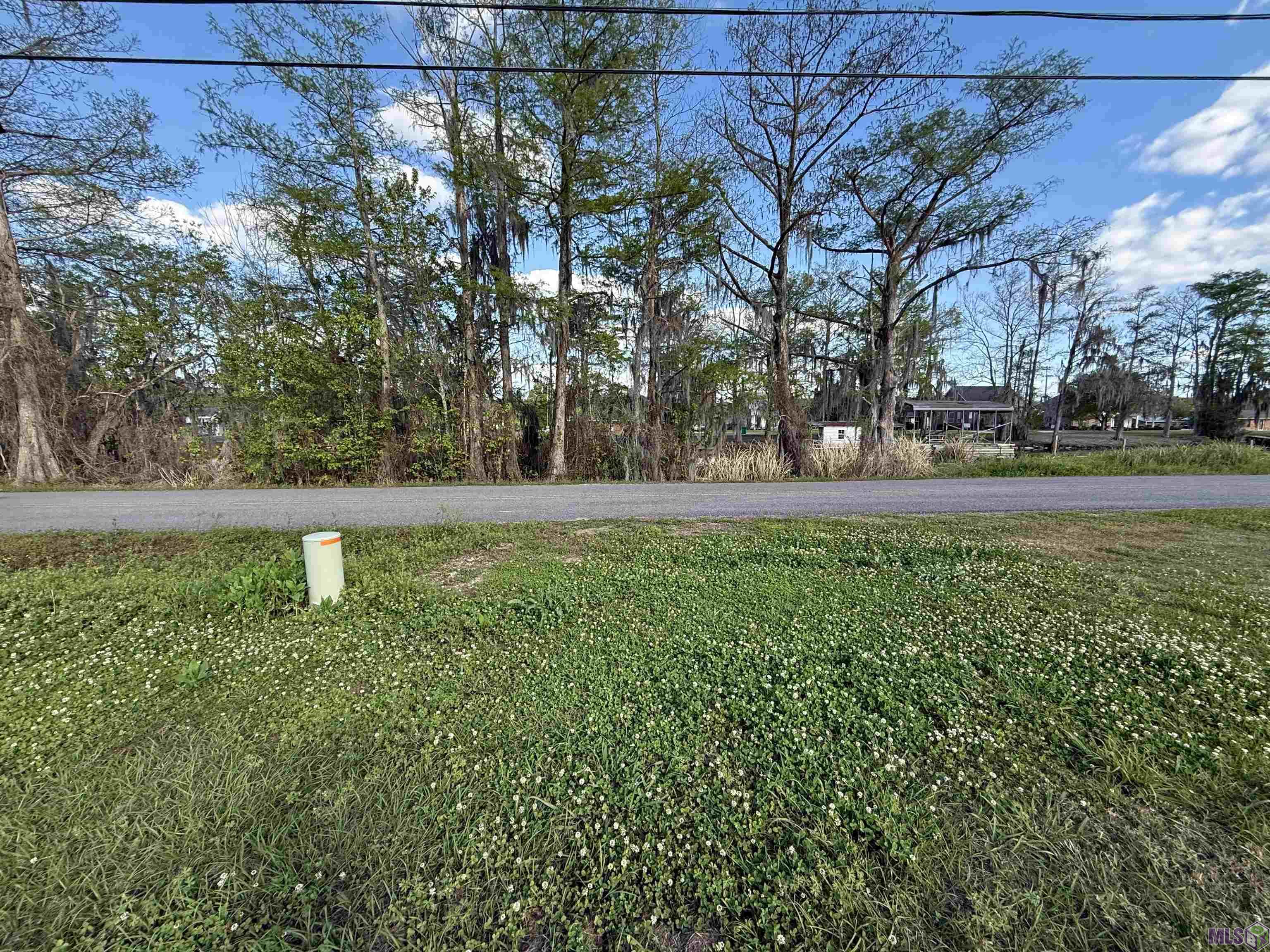 610 Bayou Drive West Pierre Part, LA 70339 - Photo 7 of 8