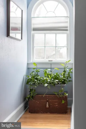 a view of a yard with plants and wooden fence