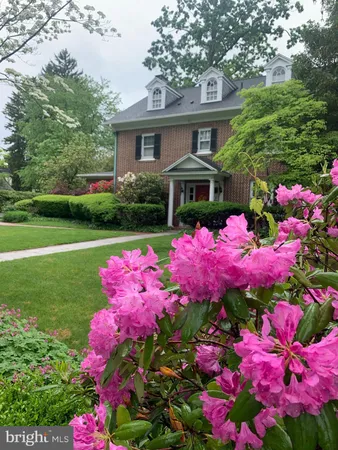 a view of a flower in a yard with a house