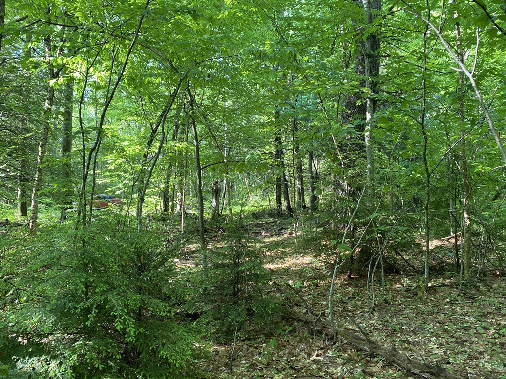 Lot 5 Emerald Road Rutland, MA 01543 - Photo 1 of 9 Gallery Image 1