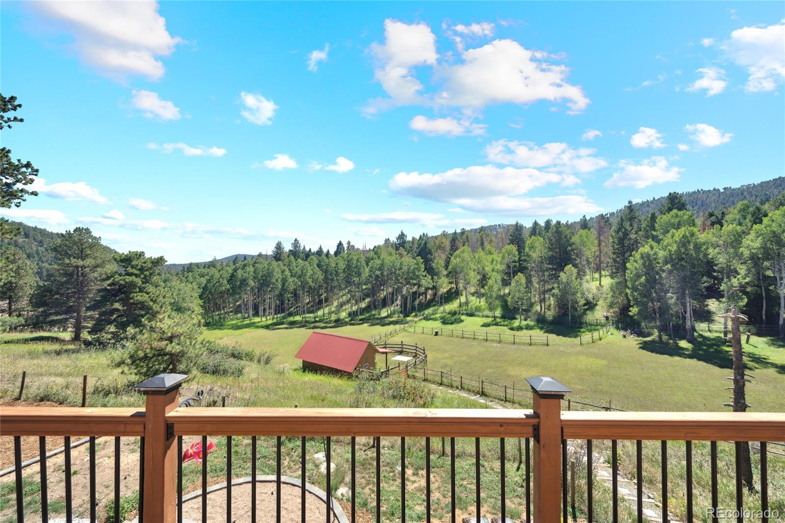 20133 Silver Ranch Road Conifer, CO 80433 - Photo 31 of 40 a view of a green field with trees in the background
