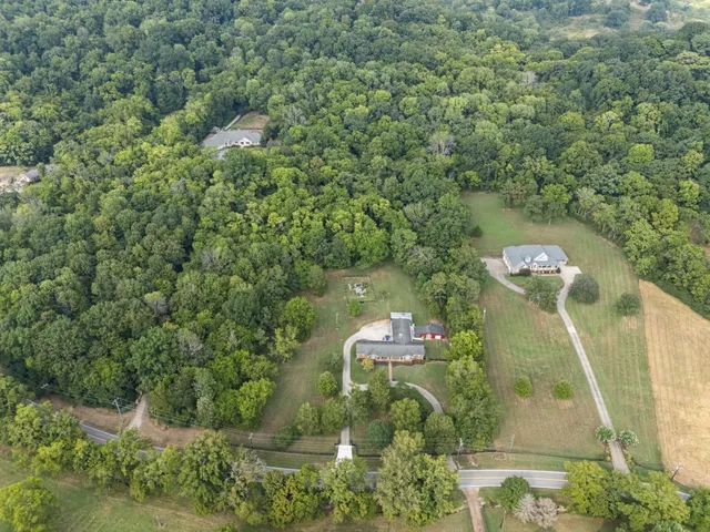 a view of a flower in a garden