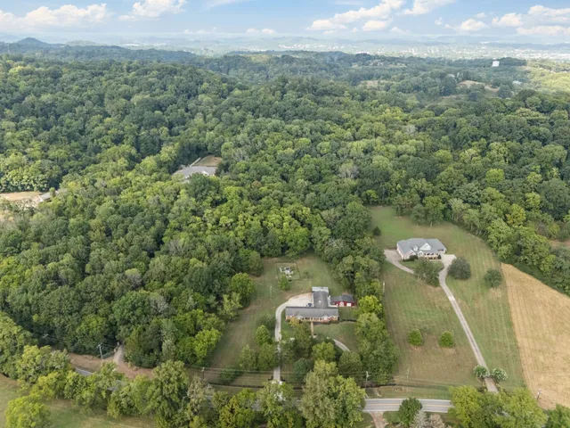 a view of a city with lush green forest