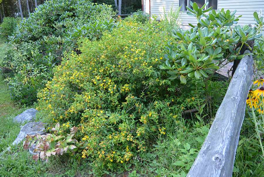 114 Chalk Pond Road Newbury, NH 03255 - Photo 19 of 21 Gallery Image 19