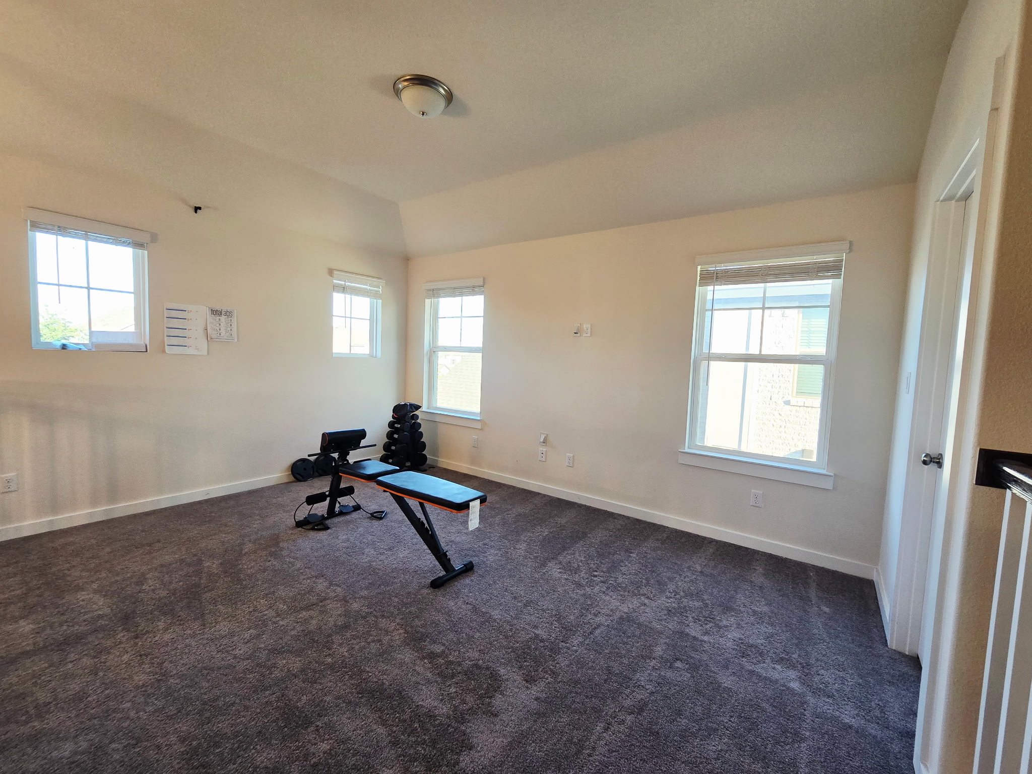 4434 Hannover Way Round Rock, TX 78681 - Photo 19 of 23 Workout room with healthy amount of natural light, dark colored carpet, and lofted ceiling