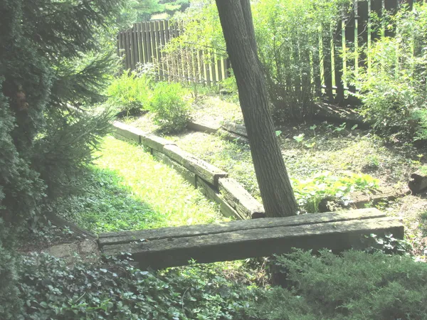 a house that has a tree in front of the house