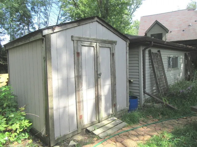 a view of a garden with plants and large trees