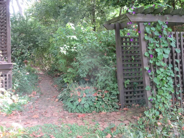 a view of outdoor space with deck and yard