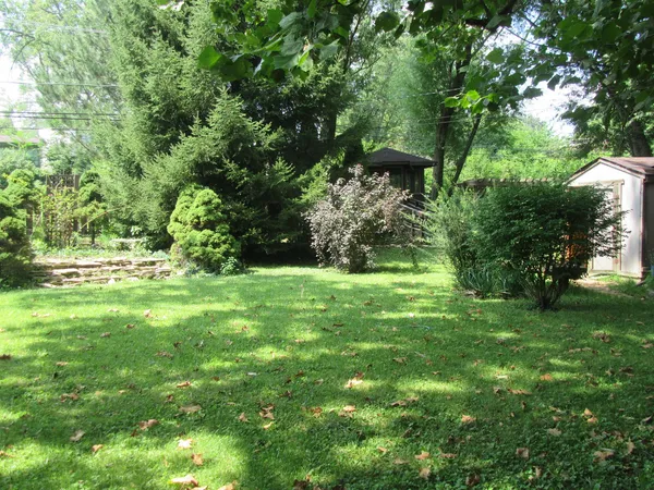 a view of backyard with green space