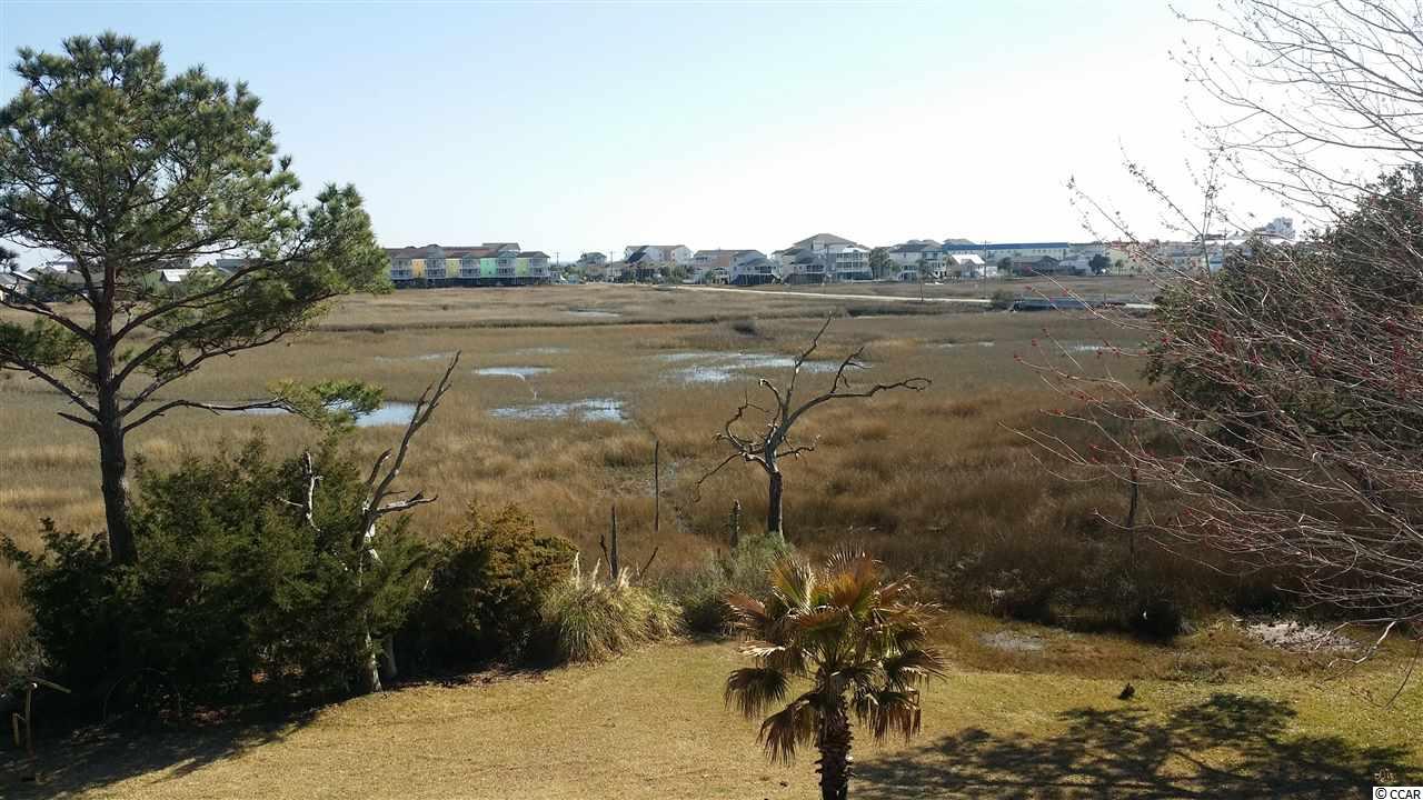716 Elizabeth Drive Murrells Inlet, SC 29576 - Photo 18 of 25 Gallery Image 18