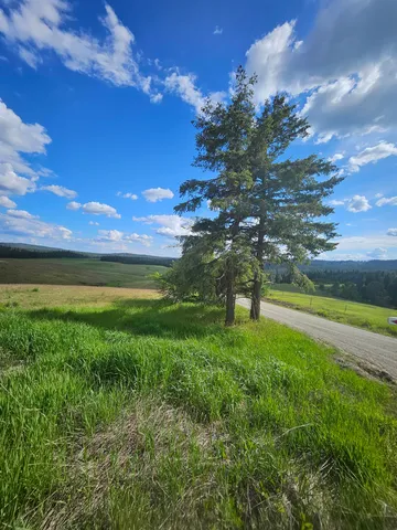 $183,000 | 52-xx Wagner Road, Springdale, WA 99173