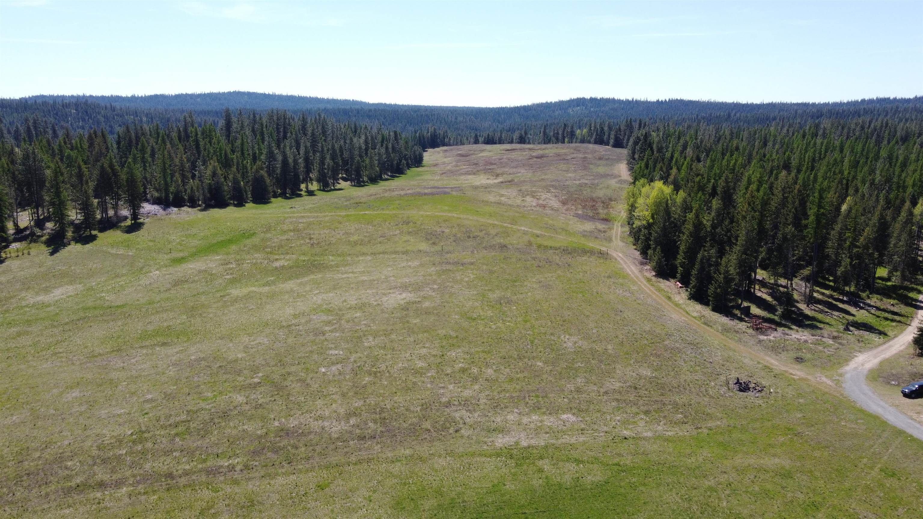 52-xx Wagner Road Springdale, WA 99173 - Photo 5 of 15