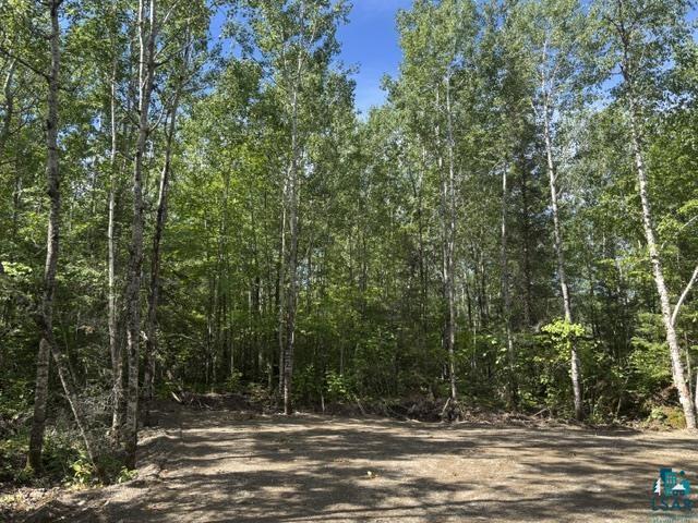 Tbd Tbd Powerhouse Trail Ely, MN 55731 - Photo 9 of 16