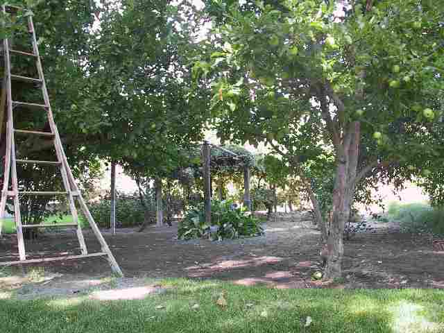 1355 Cedar Road, Unit 1 Fallon, NV 89406 - Photo 5 of 8 Gallery Image 5