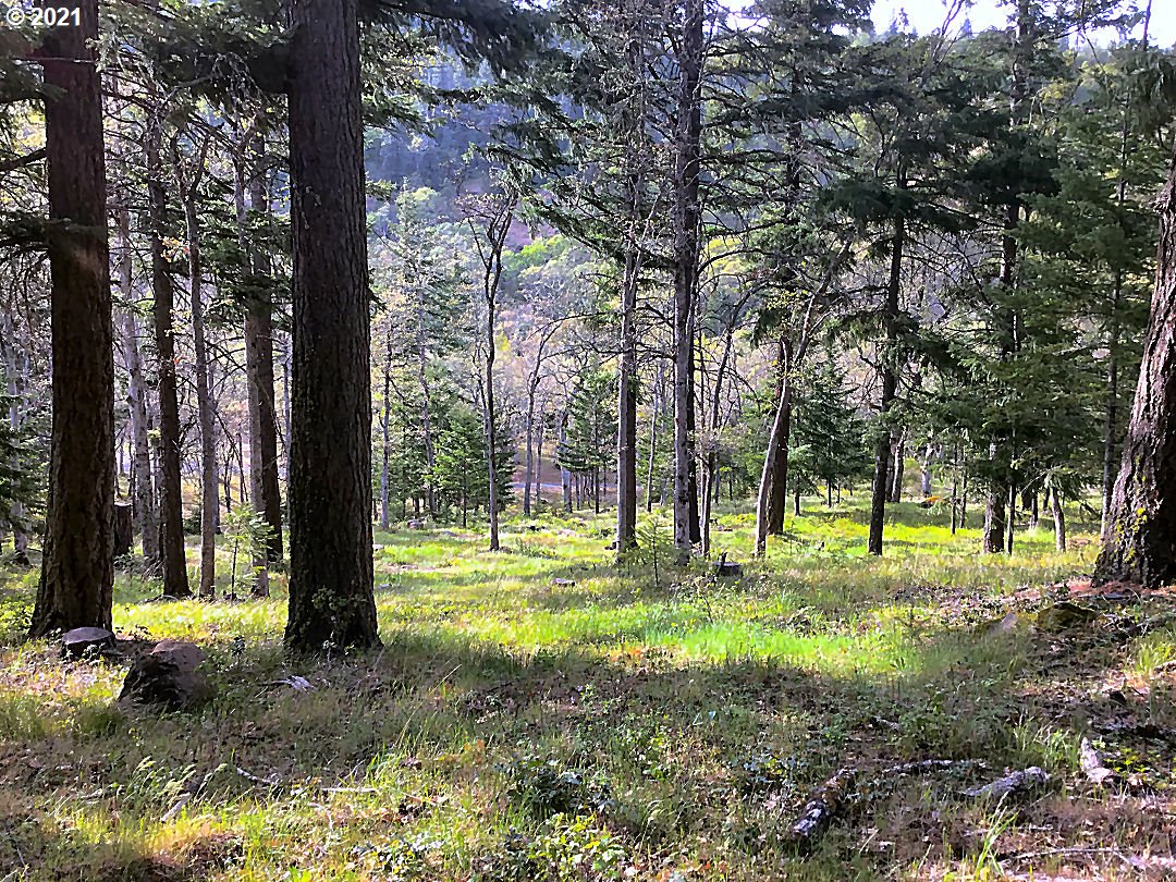 2208 Proctor Road Mosier, OR 97040 - Photo 16 of 17 Gallery Image 16