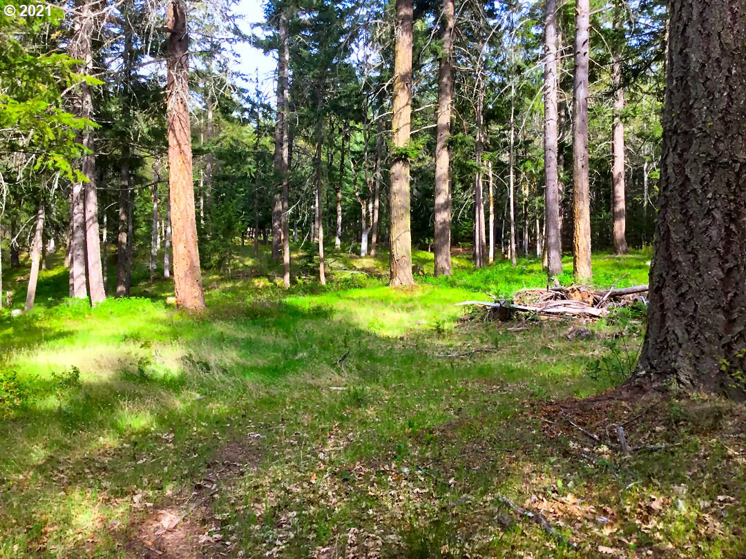 2208 Proctor Road Mosier, OR 97040 - Photo 17 of 17 Gallery Image 17