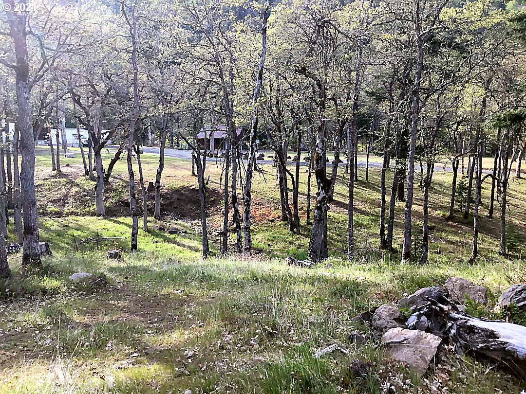 2208 Proctor Road Mosier, OR 97040 - Photo 4 of 17 Gallery Image 4
