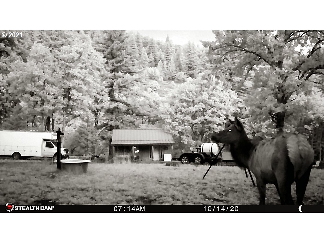 2208 Proctor Road Mosier, OR 97040 - Photo 6 of 17 Gallery Image 6