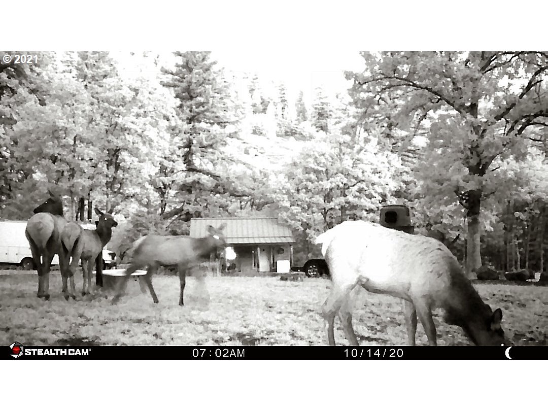 2208 Proctor Road Mosier, OR 97040 - Photo 7 of 17 Gallery Image 7