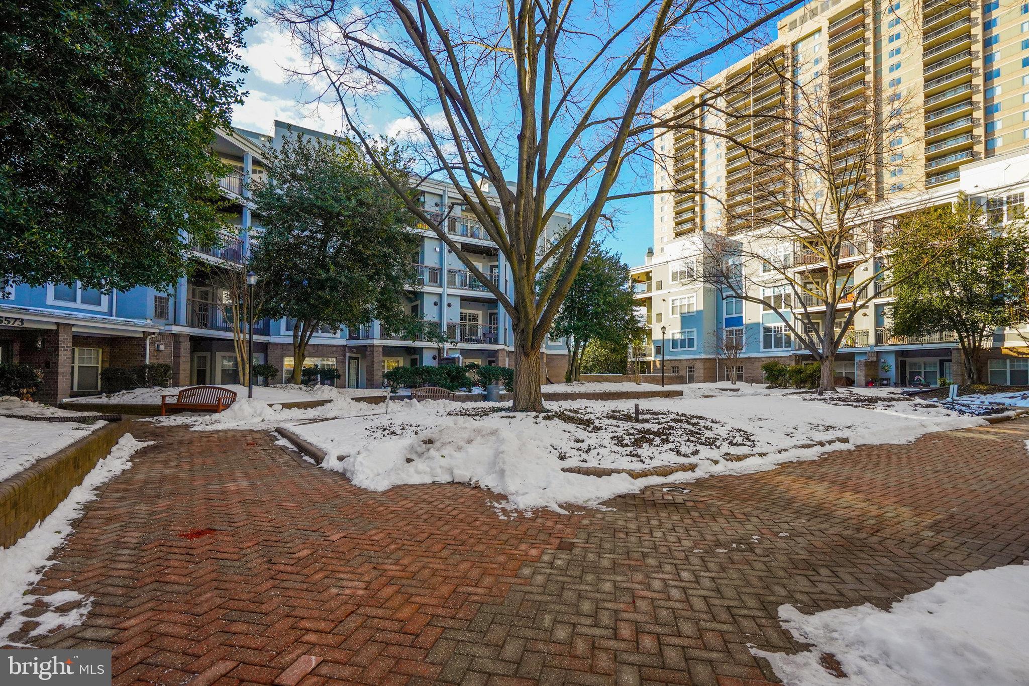 5573 Seminary Road, Unit 104 Falls Church, VA 22041 - Photo 31 of 31 Interior courtyard
