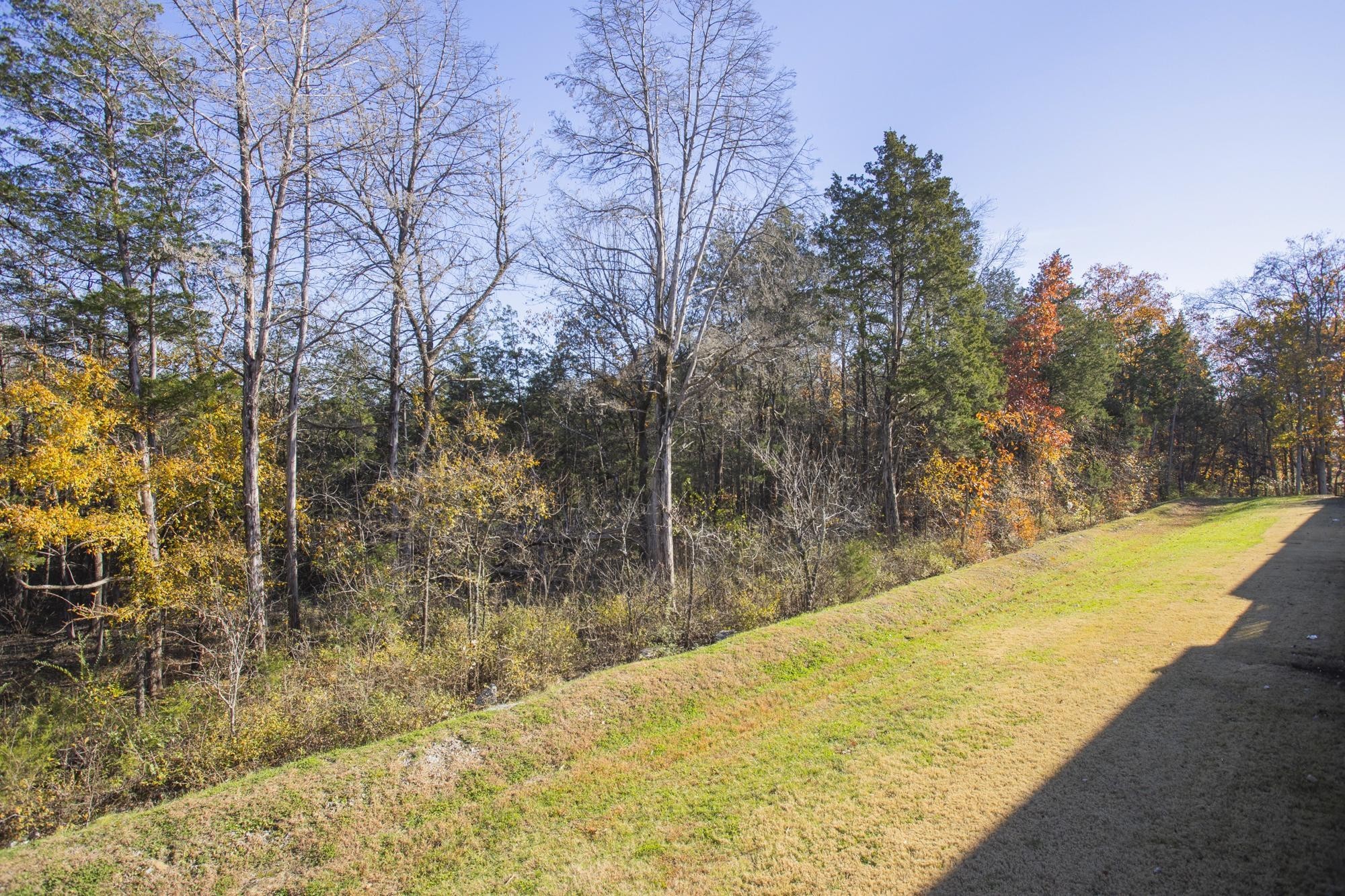 4221 Grapevine Loop Smyrna, TN 37167 - Photo 24 of 27 a view of swimming pool with large trees