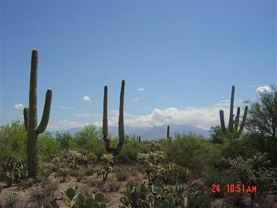 7400 West Ina Road, Unit LOT4E Tucson, AZ 85743 - Photo 3 of 3