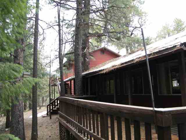 1180 Merzville Road Forest Lakes, AZ 85931 - Photo 4 of 9