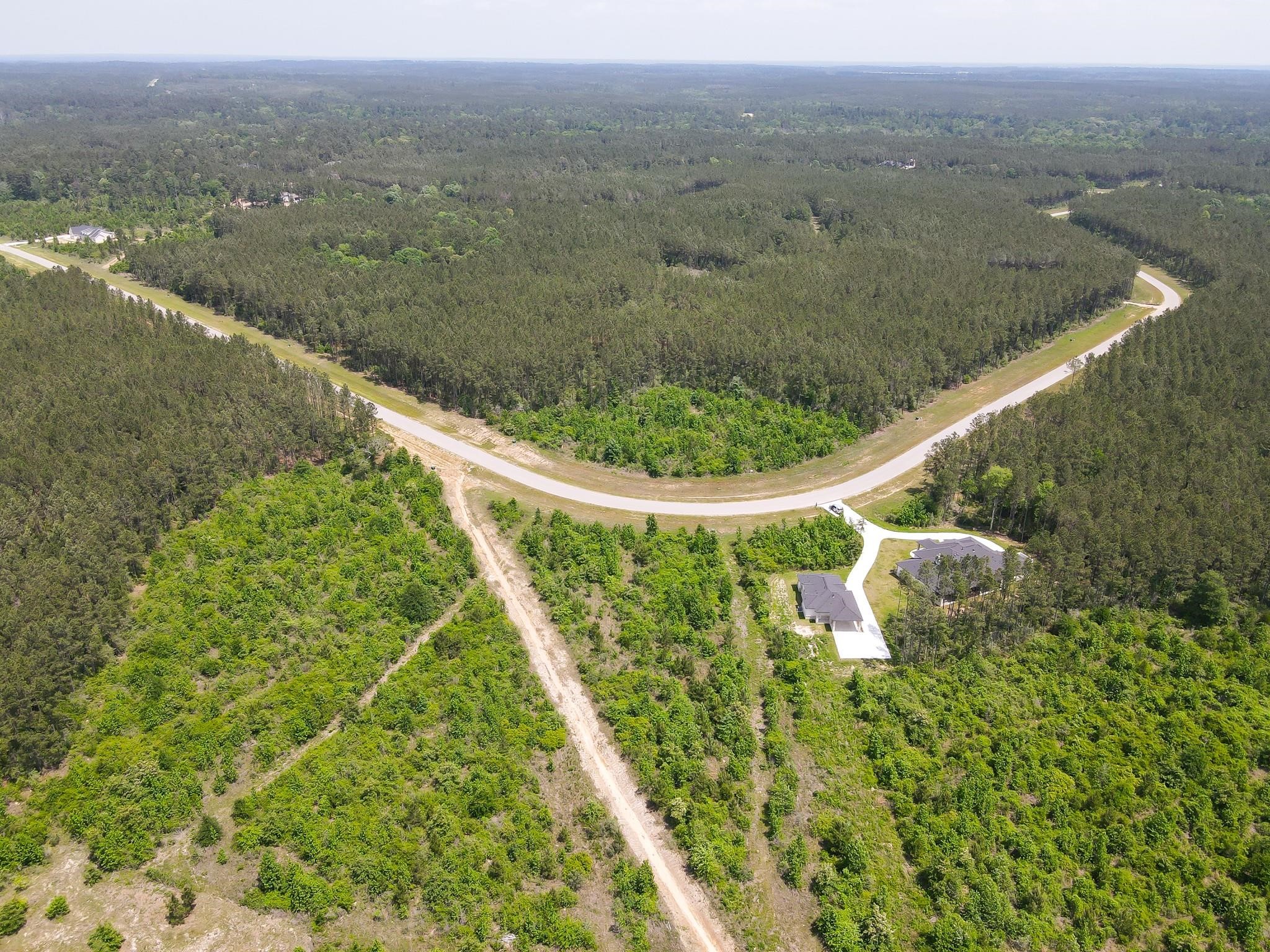 16089 Forest Mill Road Willis, TX 77378 - Photo 8 of 12