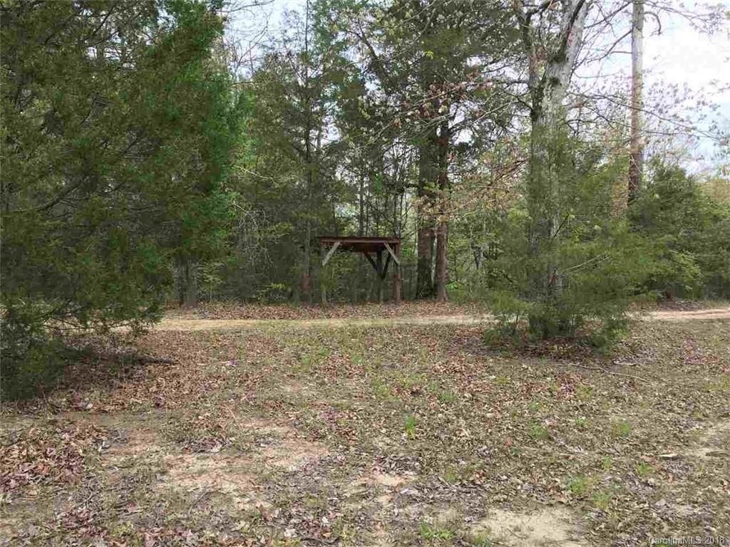 0 Goblet Road, Unit LOT 9 Richburg, SC 29729 - Photo 8 of 25 Gallery Image 8