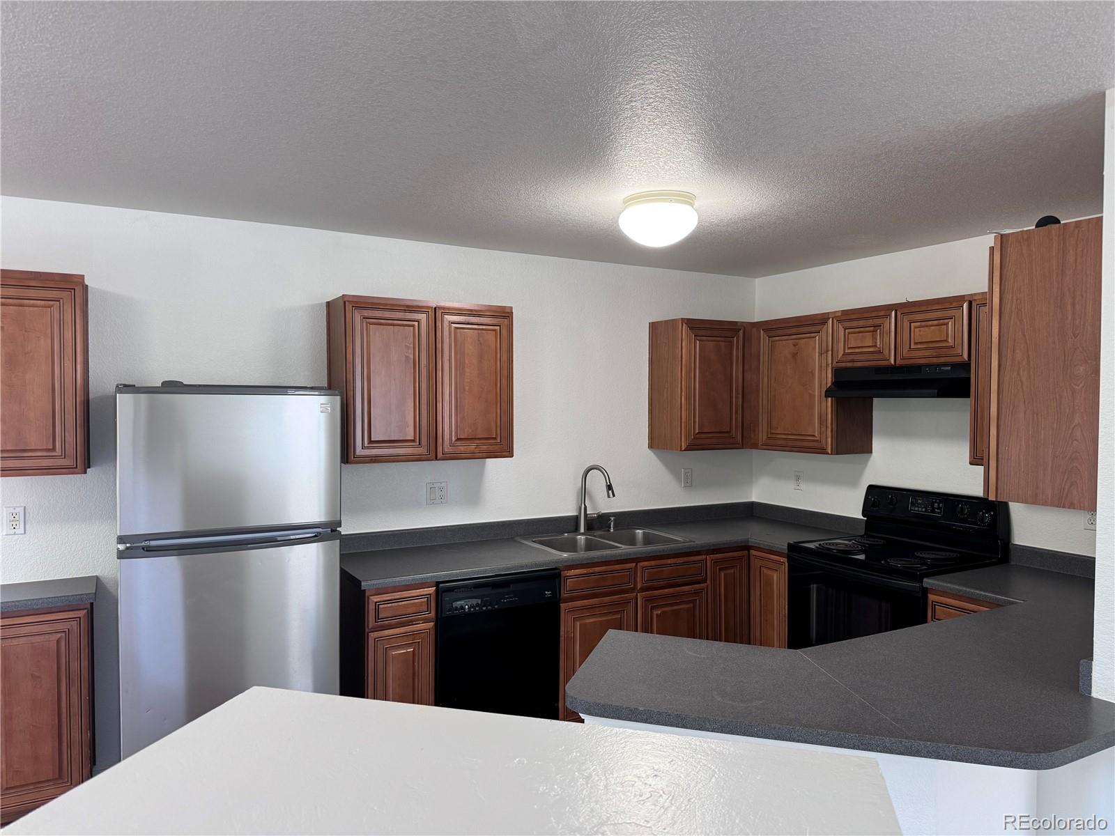 4428 Andes Way Denver, CO 80249 - Photo 3 of 17