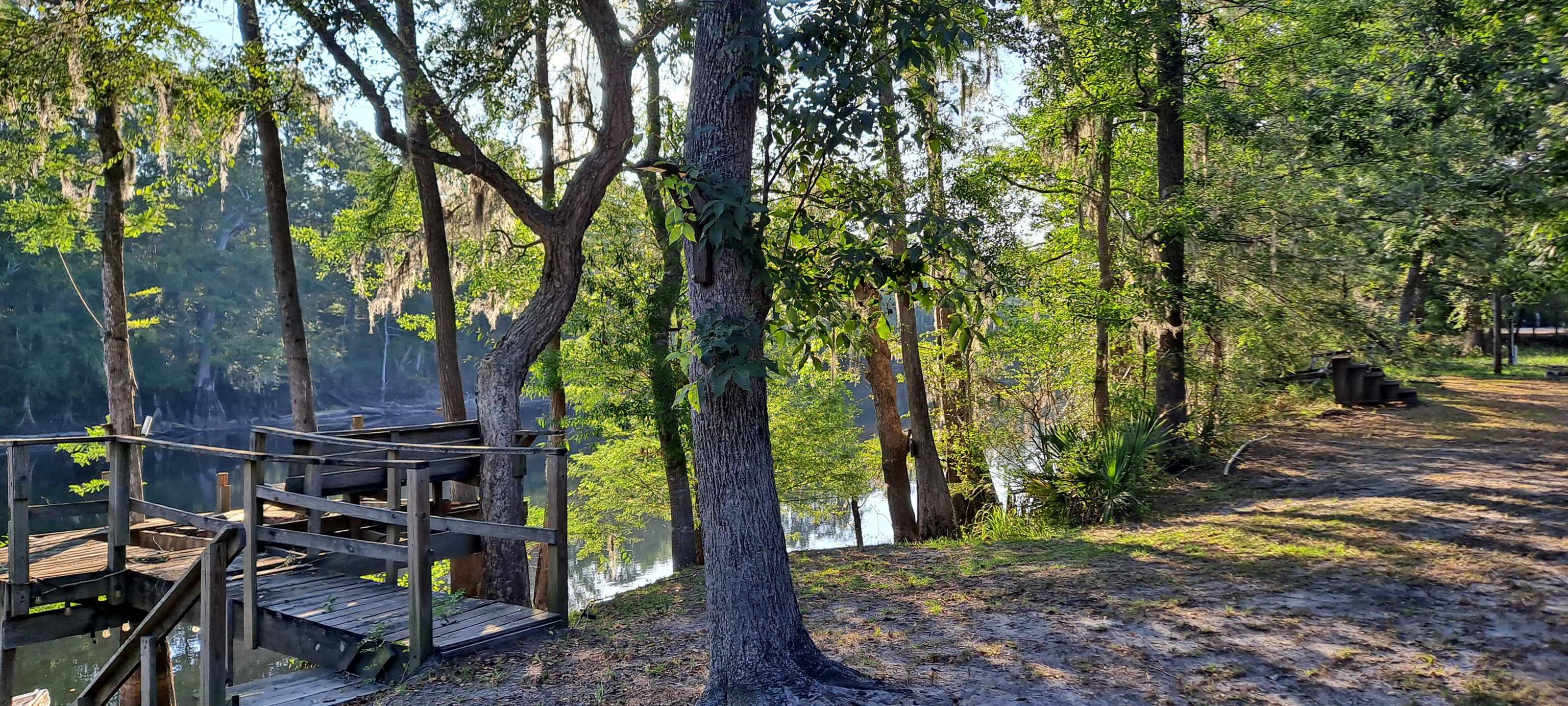 501 Trussel Road Andrews, SC 29510 - Photo 13 of 20